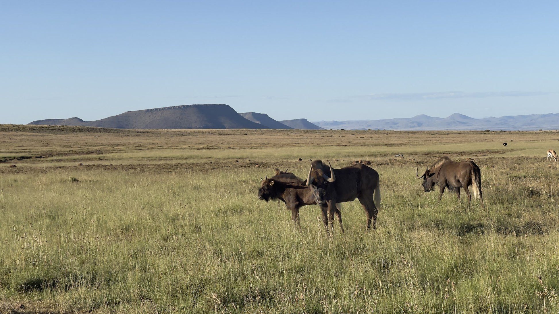  Oliviershoek Pass Viewpoint