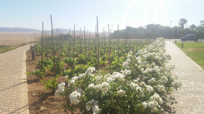  Org de Rac Organic Wine Estate