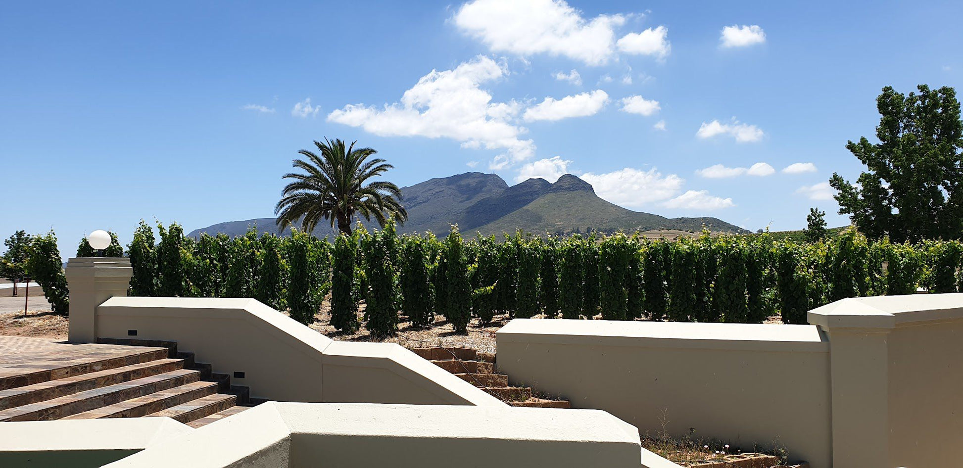  Org de Rac Organic Wine Estate