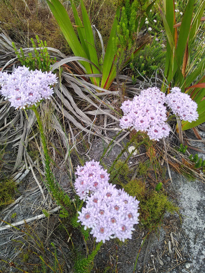 Ou Kraal Hiking trail