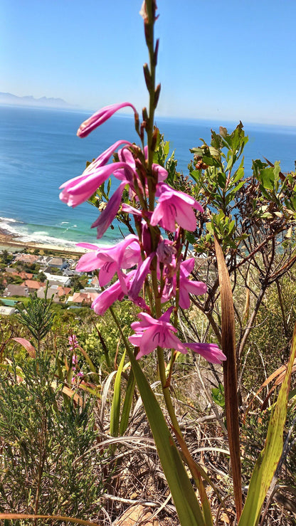 Ou Kraal Hiking trail