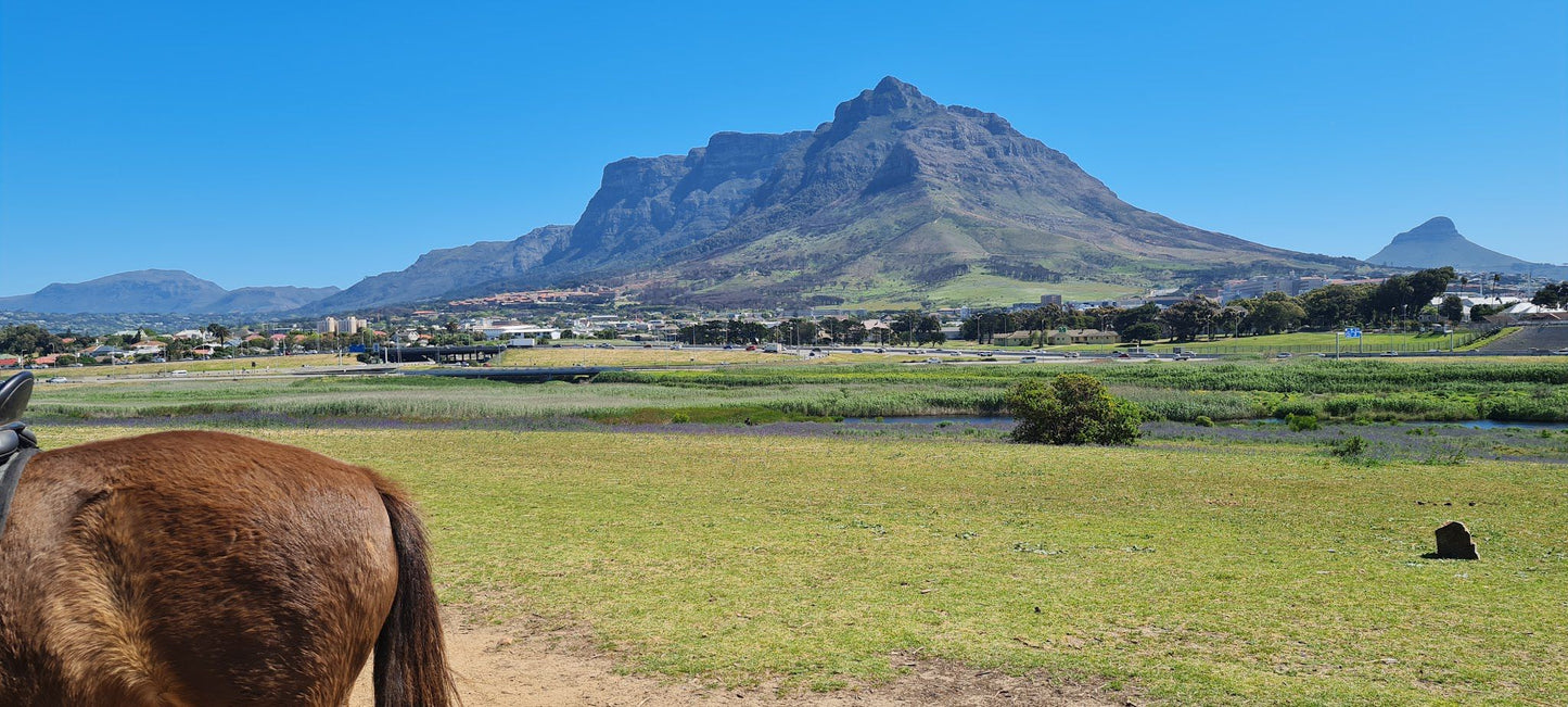  Oude Molen Eco Village