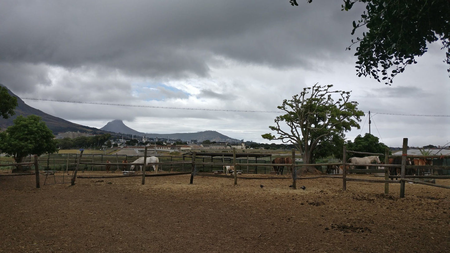  Oude Molen Eco Village