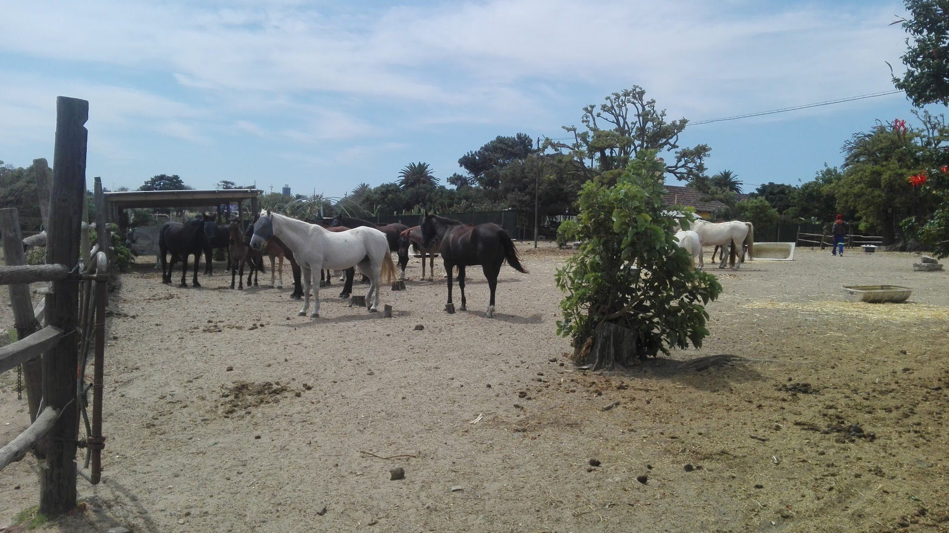  Oude Molen Eco Village