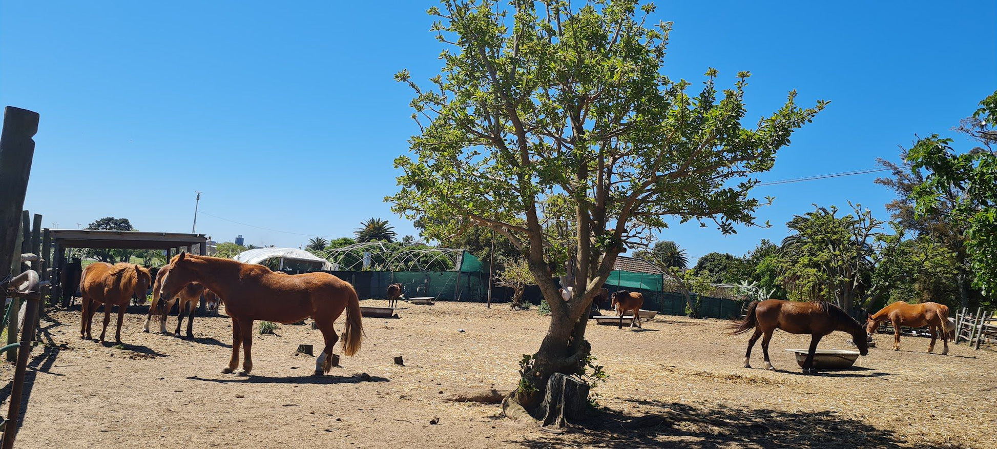  Oude Molen Eco Village