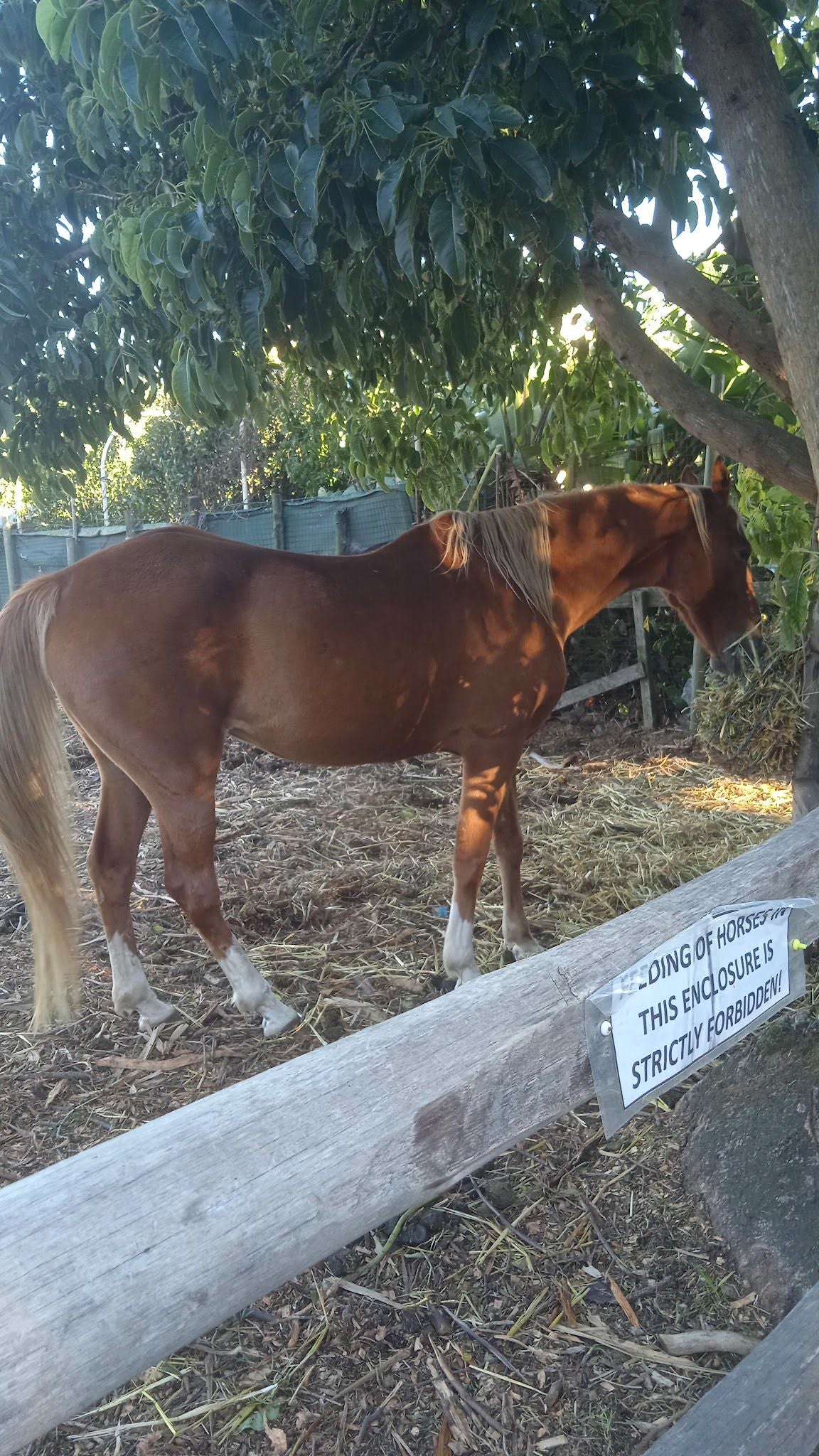  Oude Molen Eco Village