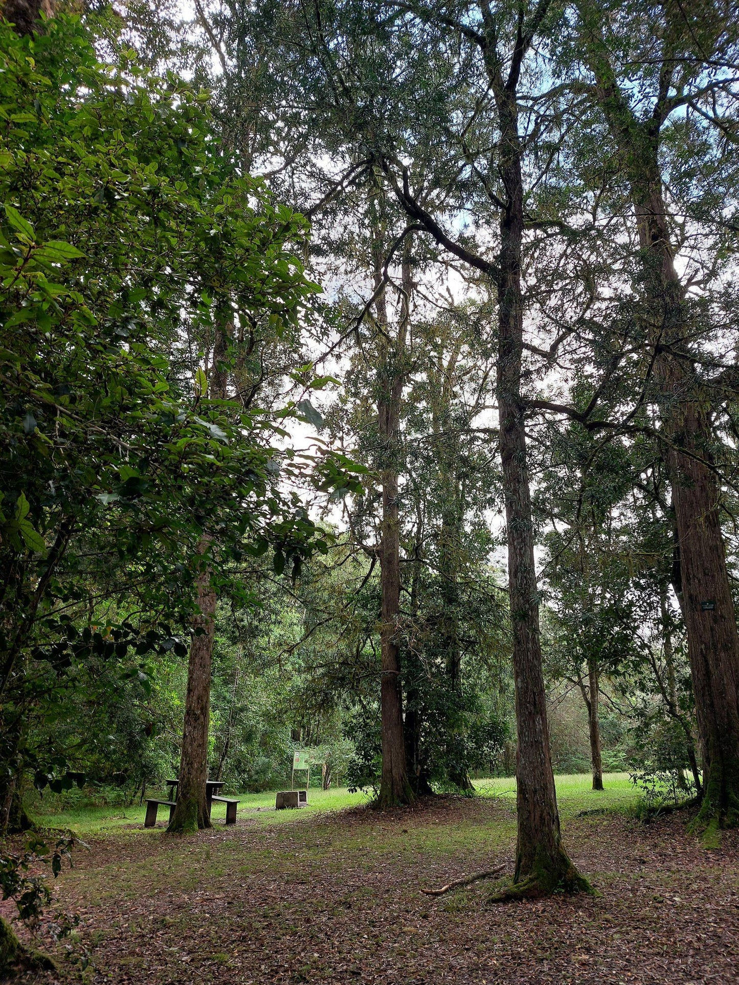 Outeniqua Hiking Trail - Diepwalle Hut