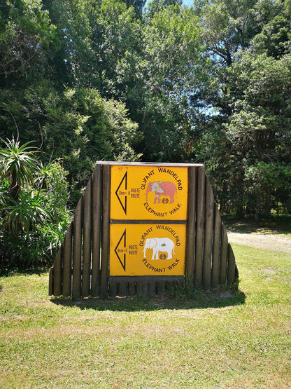 Outeniqua Hiking Trail - Diepwalle Hut