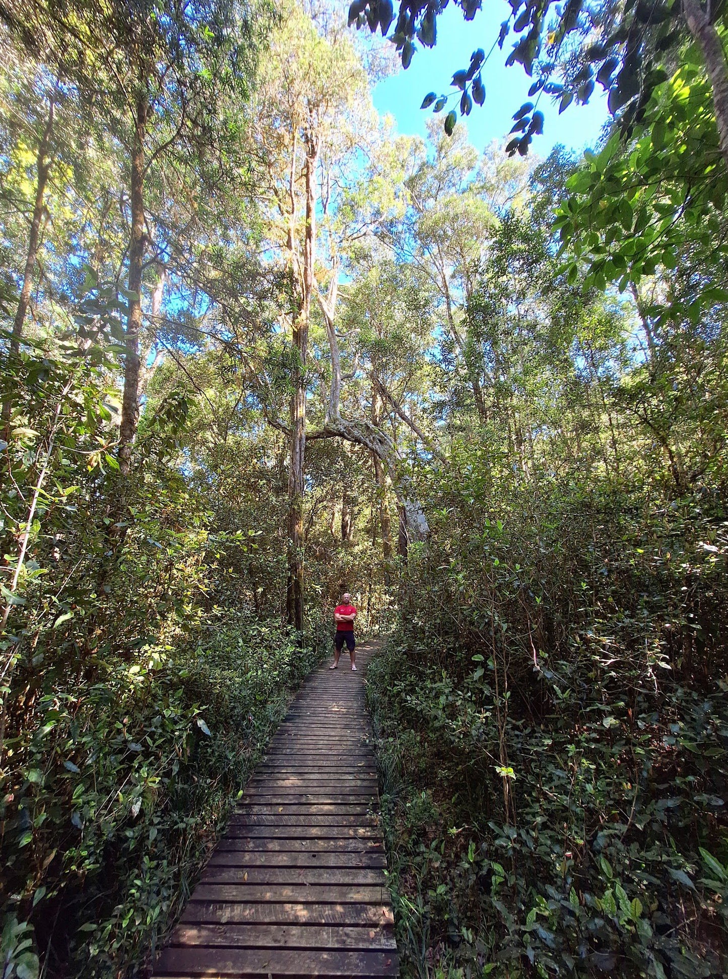 Outeniqua Hiking Trail - Diepwalle Hut