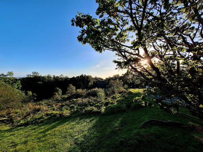 Outeniqua Hiking Trail - Diepwalle Hut