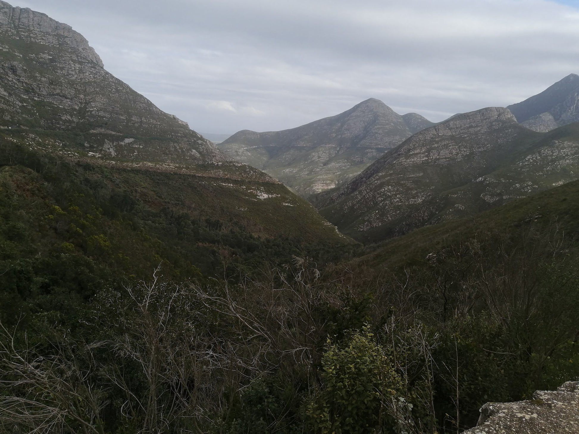  Outeniqua Nature Reserve