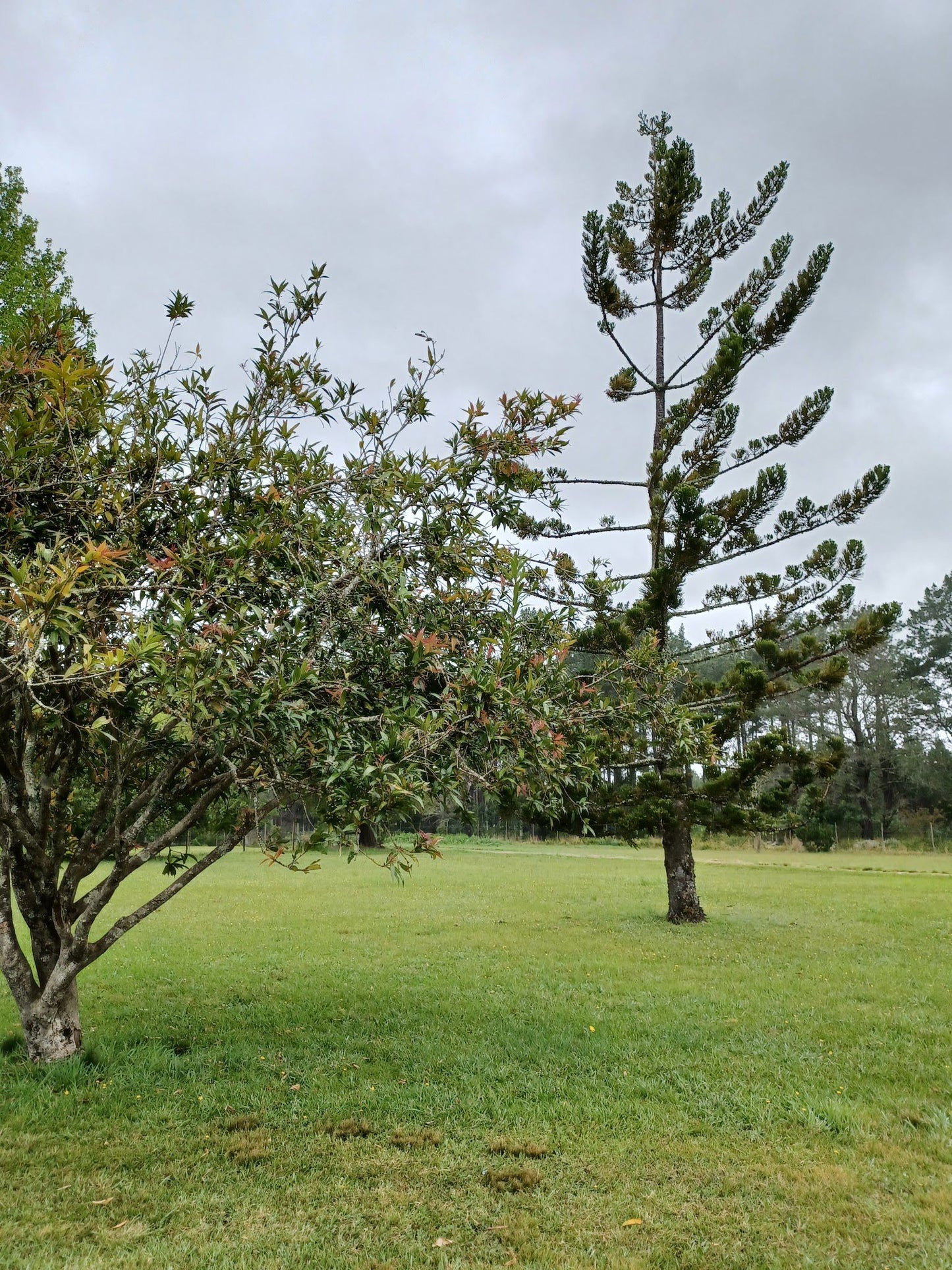  Outeniqua Nature Reserve