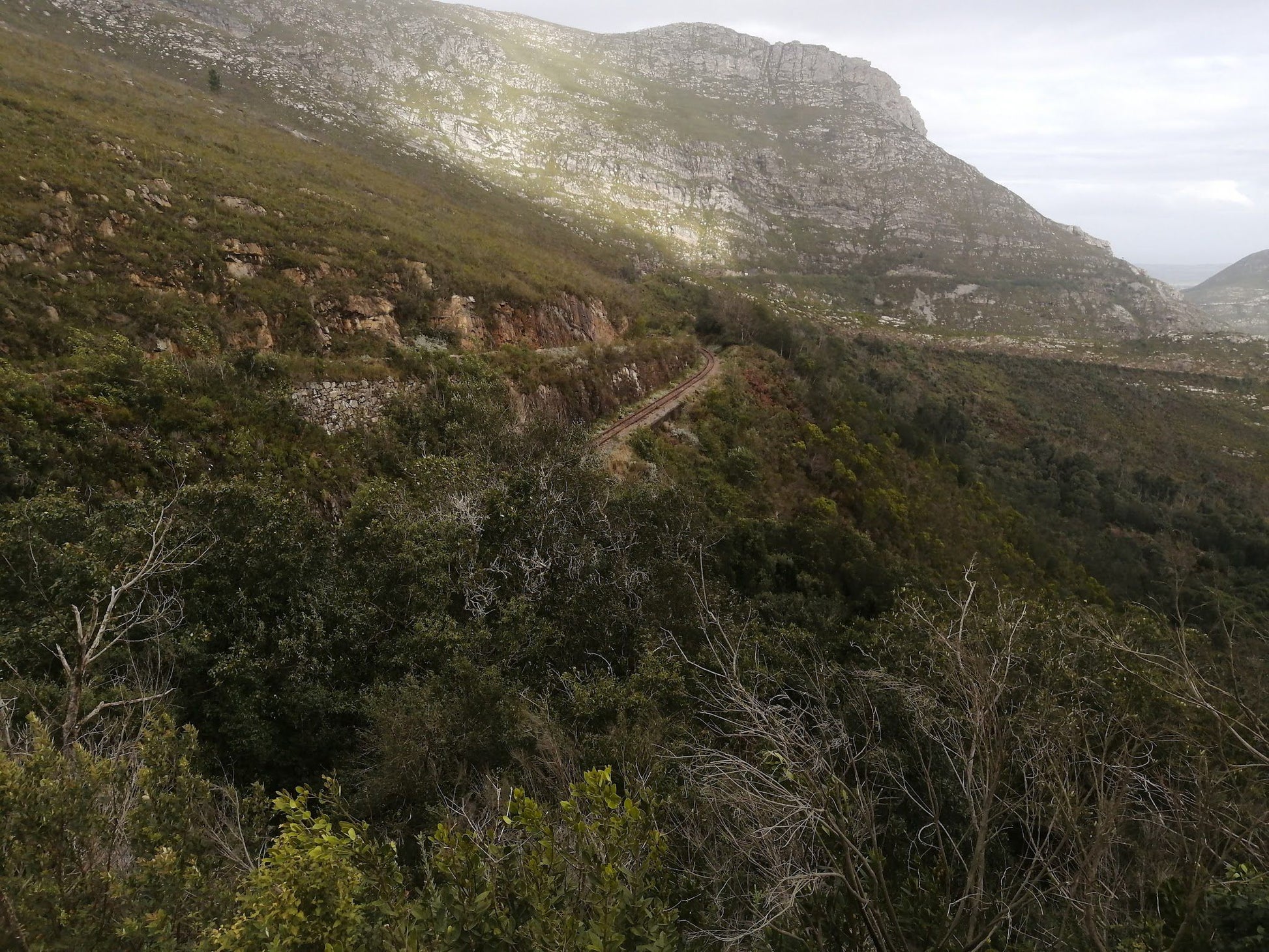  Outeniqua Nature Reserve