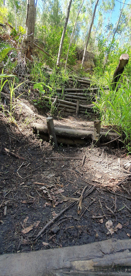  Outeniqua Nature Reserve