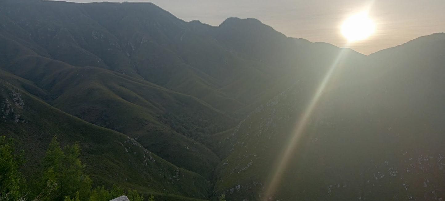  Outeniqua Nature Reserve