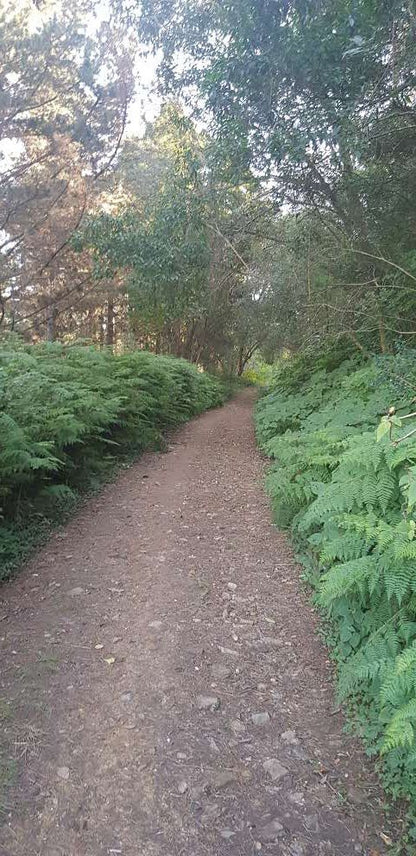  Outeniqua Nature Reserve