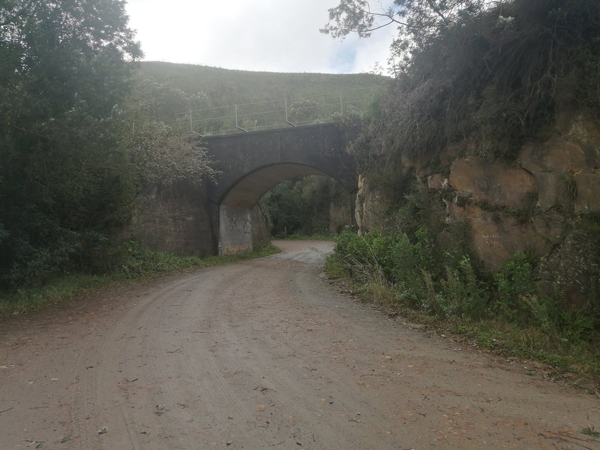  Outeniqua Nature Reserve