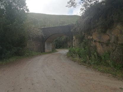  Outeniqua Nature Reserve