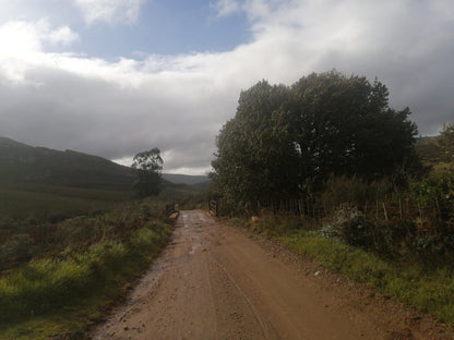  Outeniqua Nature Reserve