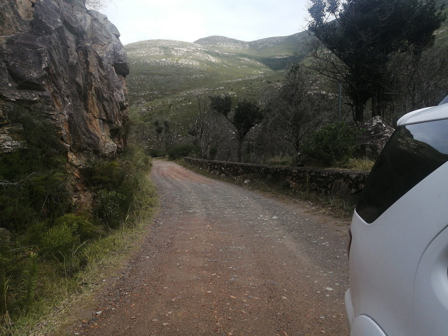  Outeniqua Nature Reserve