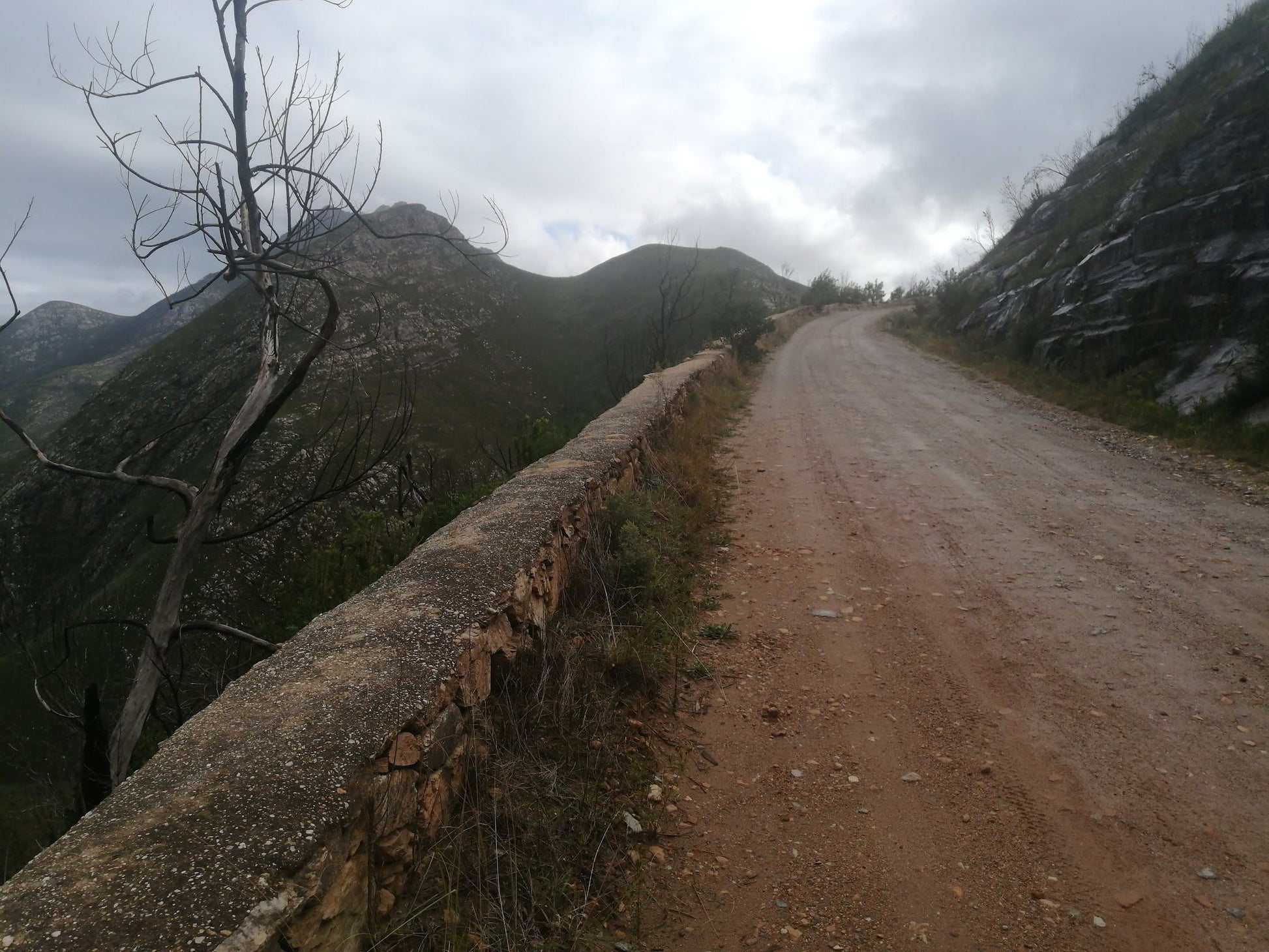  Outeniqua Nature Reserve