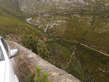  Outeniqua Nature Reserve