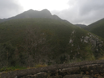  Outeniqua Nature Reserve