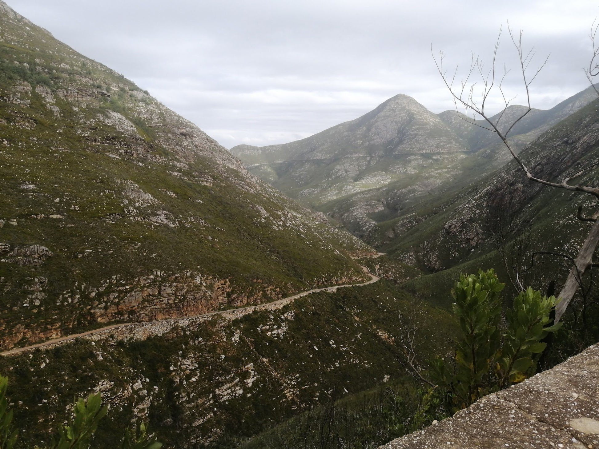  Outeniqua Nature Reserve