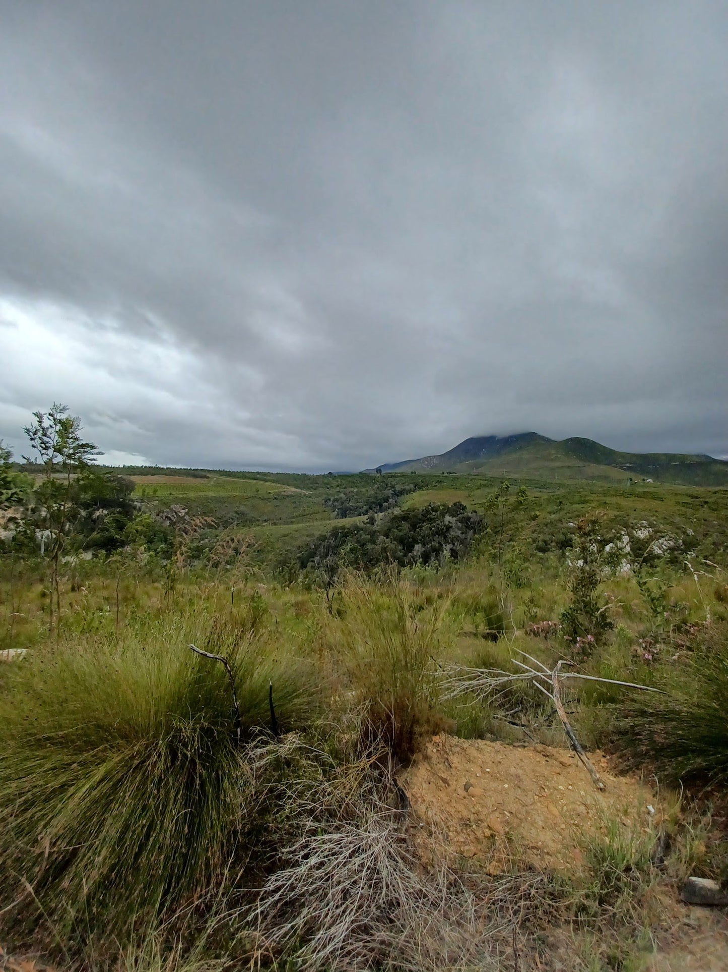  Outeniqua Nature Reserve