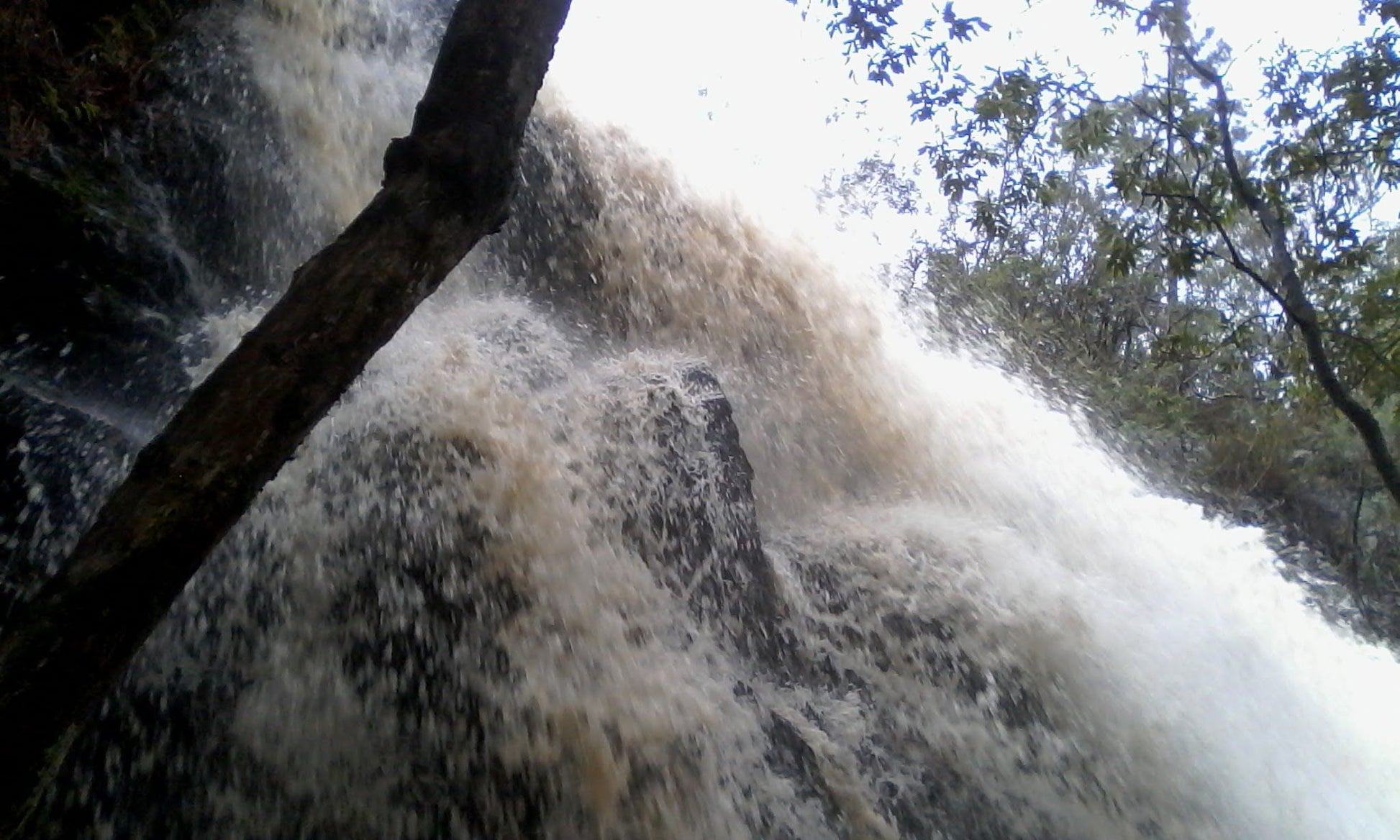  Outeniqua trail