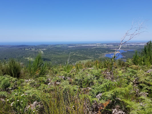  Outeniqua trail