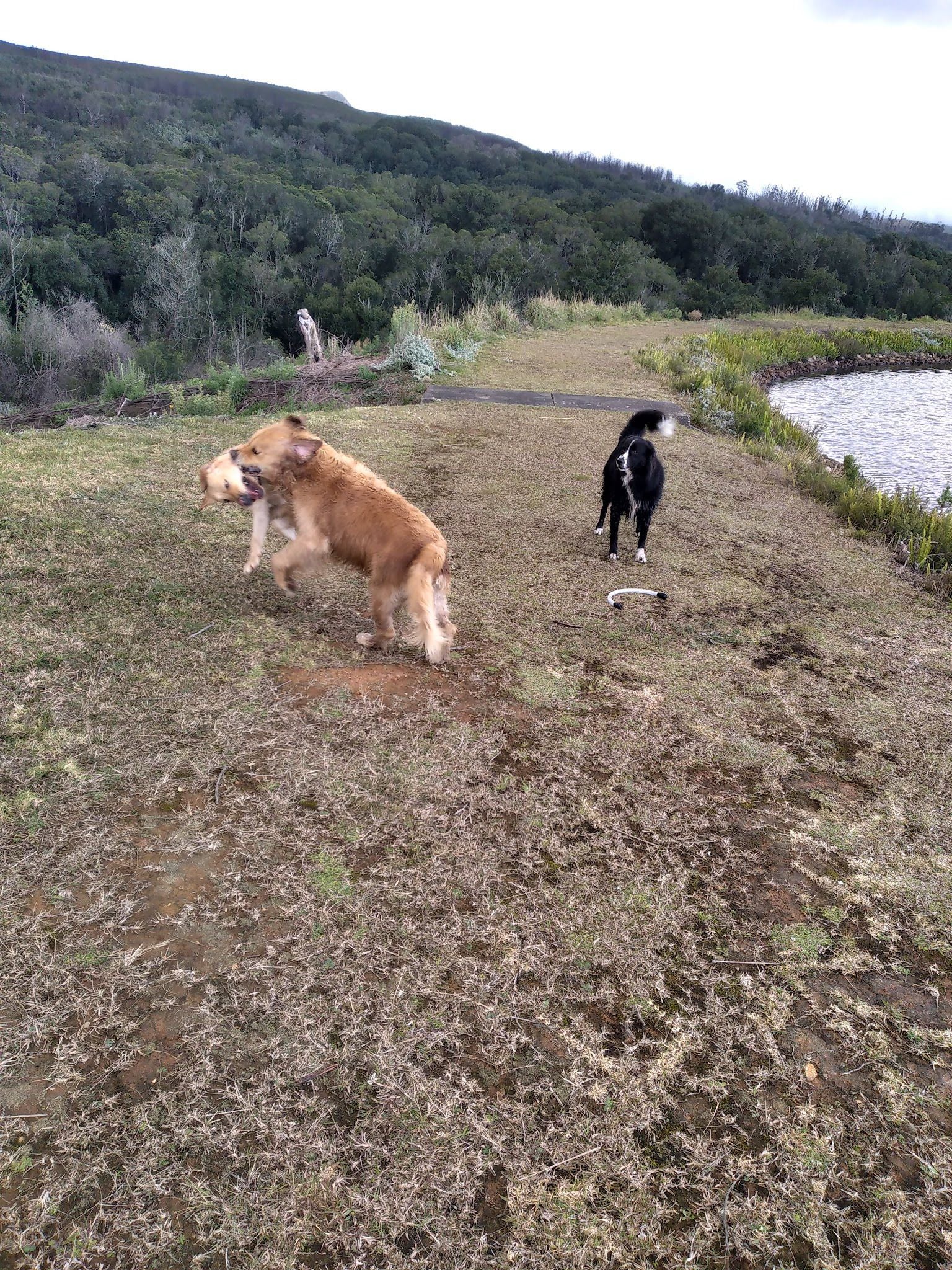  Outeniqua trail