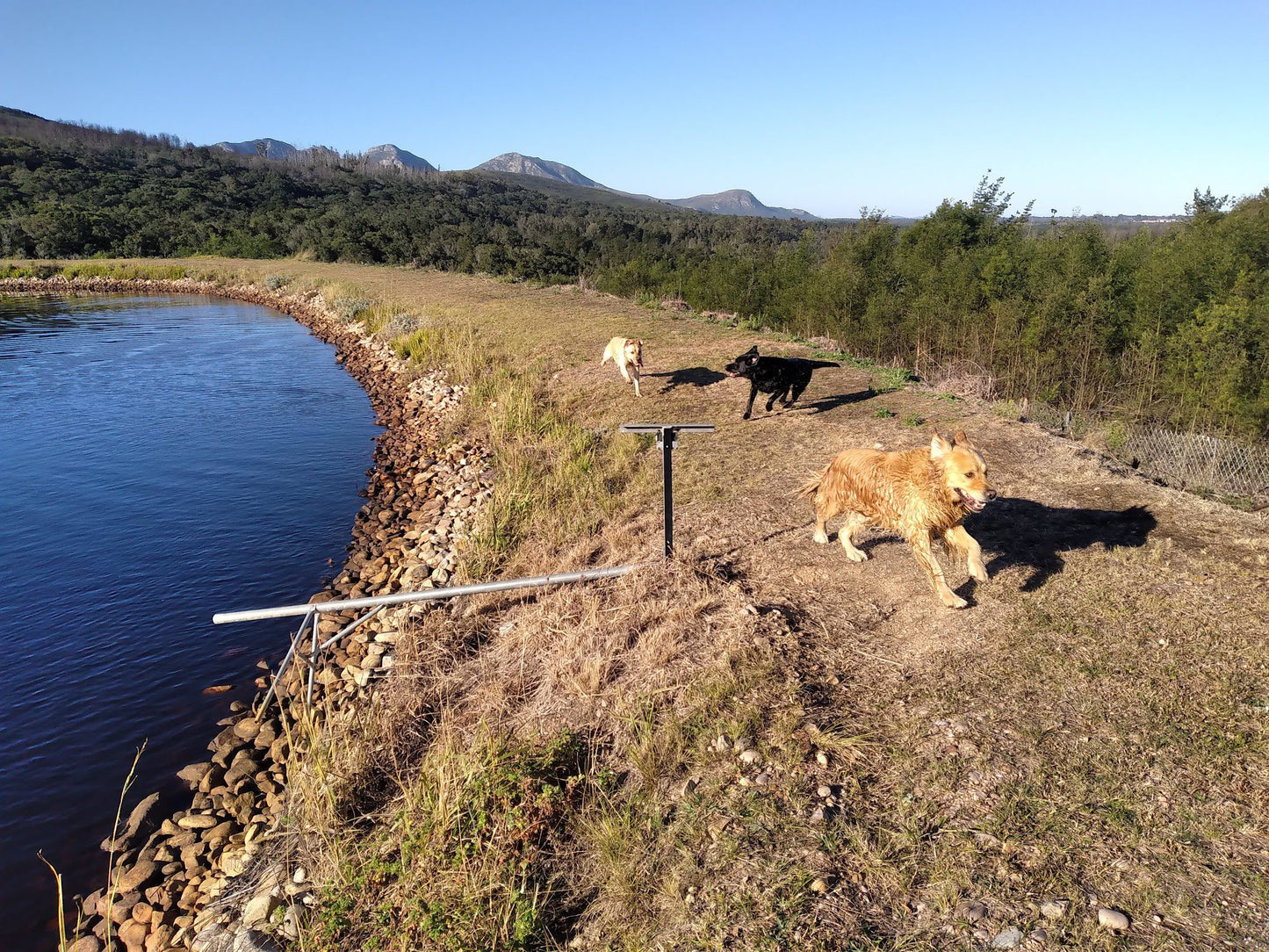  Outeniqua trail