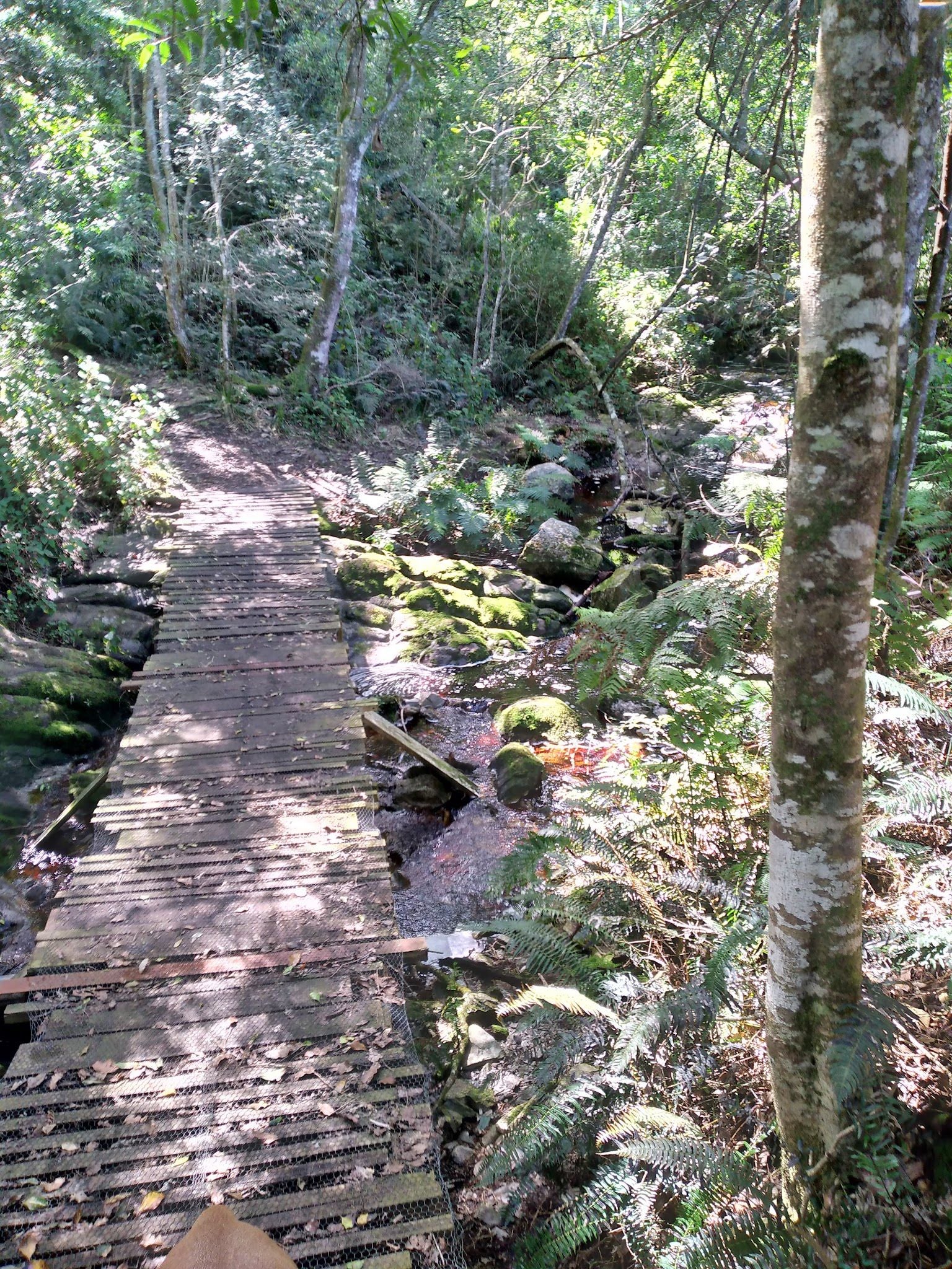  Outeniqua trail