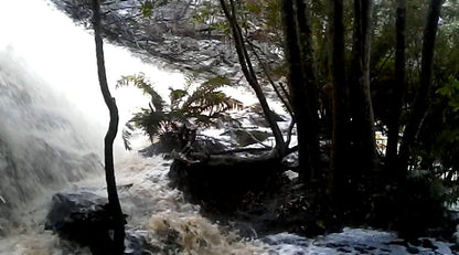  Outeniqua trail