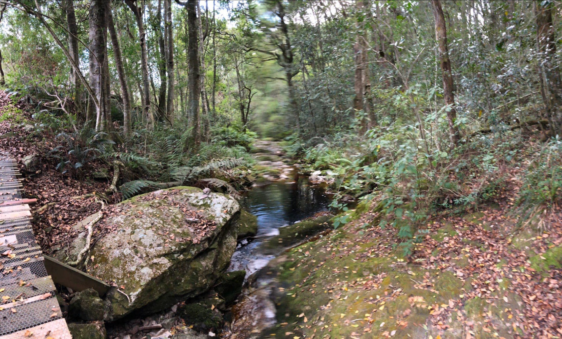  Outeniqua trail