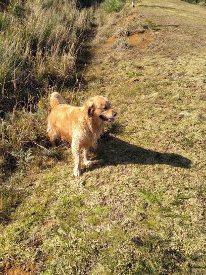  Outeniqua trail