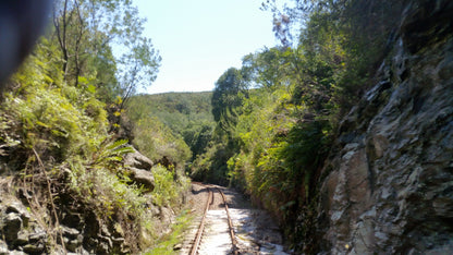  Outeniqua trail