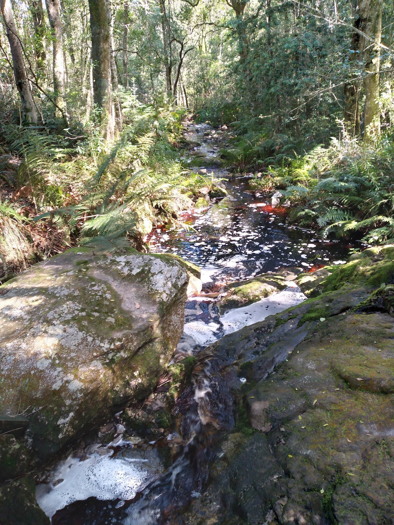  Outeniqua trail