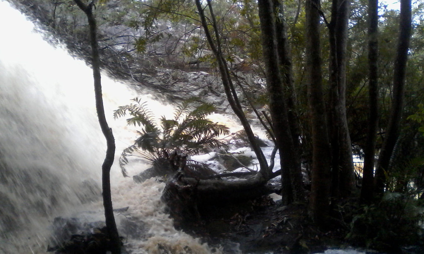  Outeniqua trail