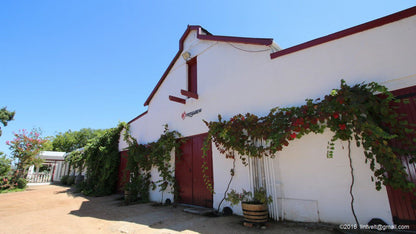  Overgaauw Wine Estate