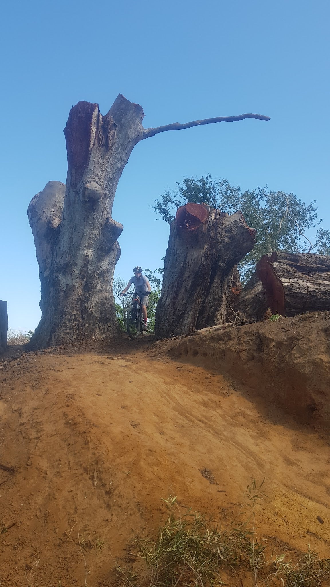 Paarl Trails - Spice Route