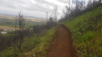 Paarl Trails - Spice Route