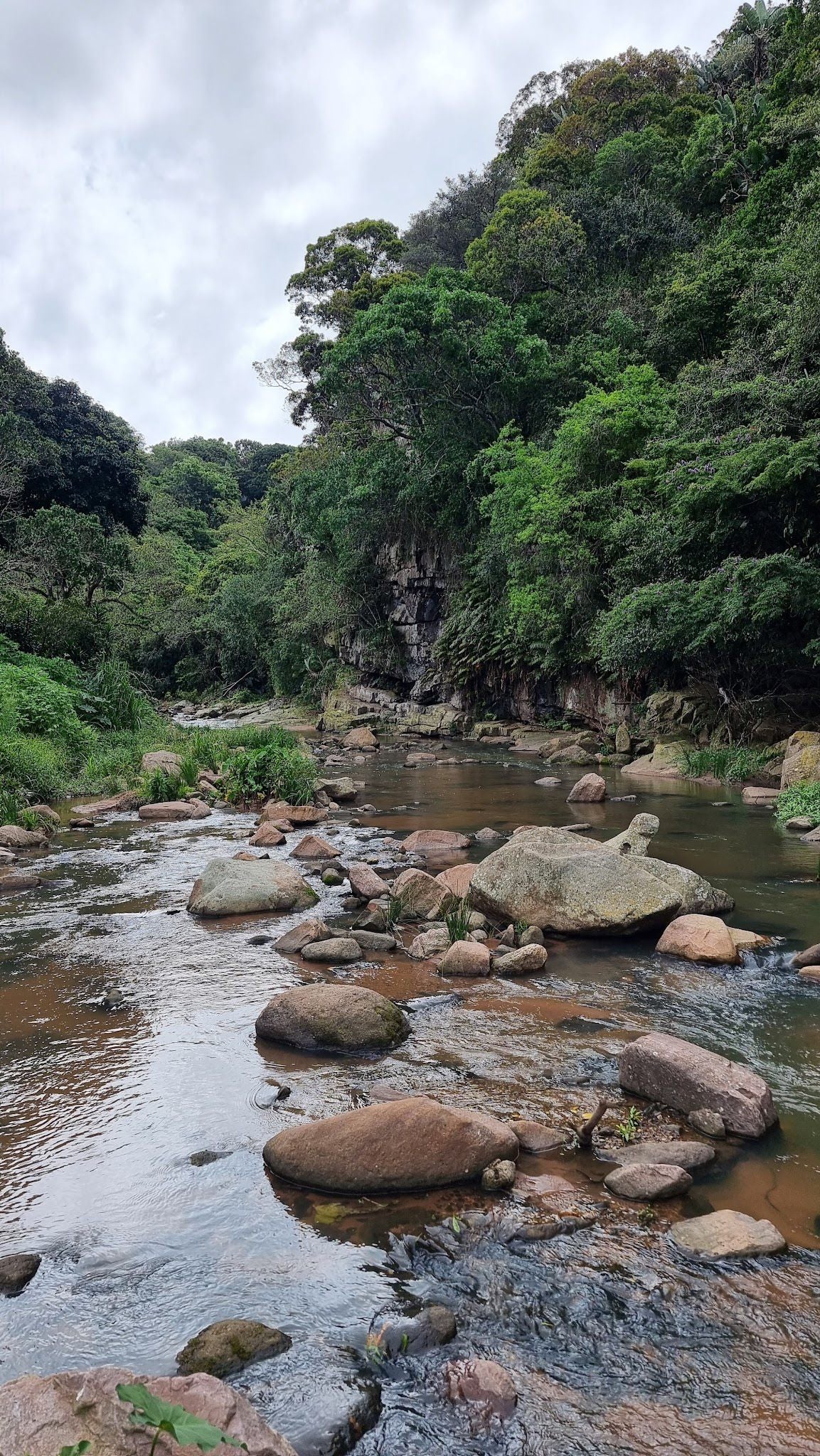  Palmiet Nature Reserve