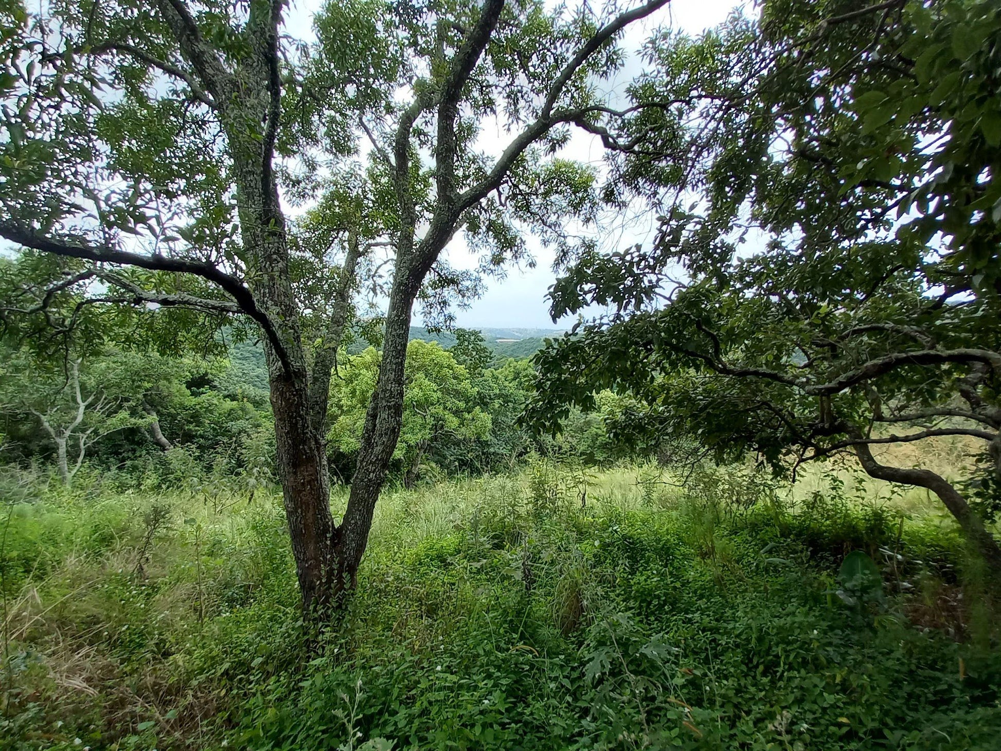  Palmiet Nature Reserve