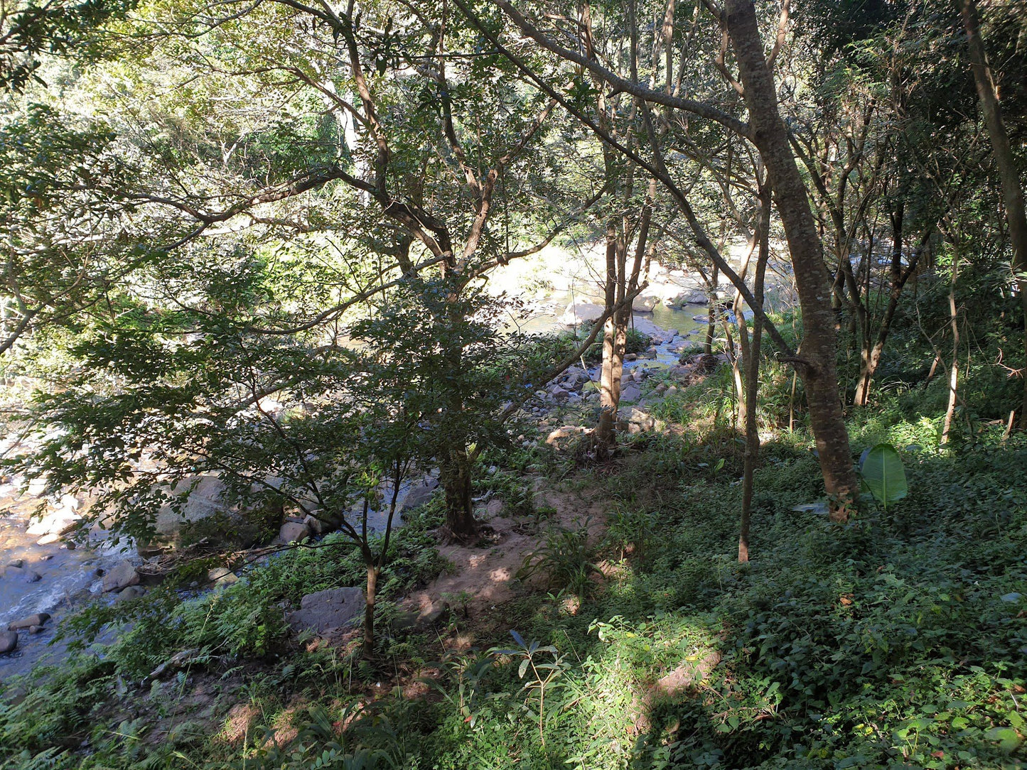  Palmiet Nature Reserve