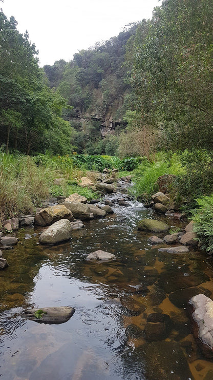  Palmiet Nature Reserve