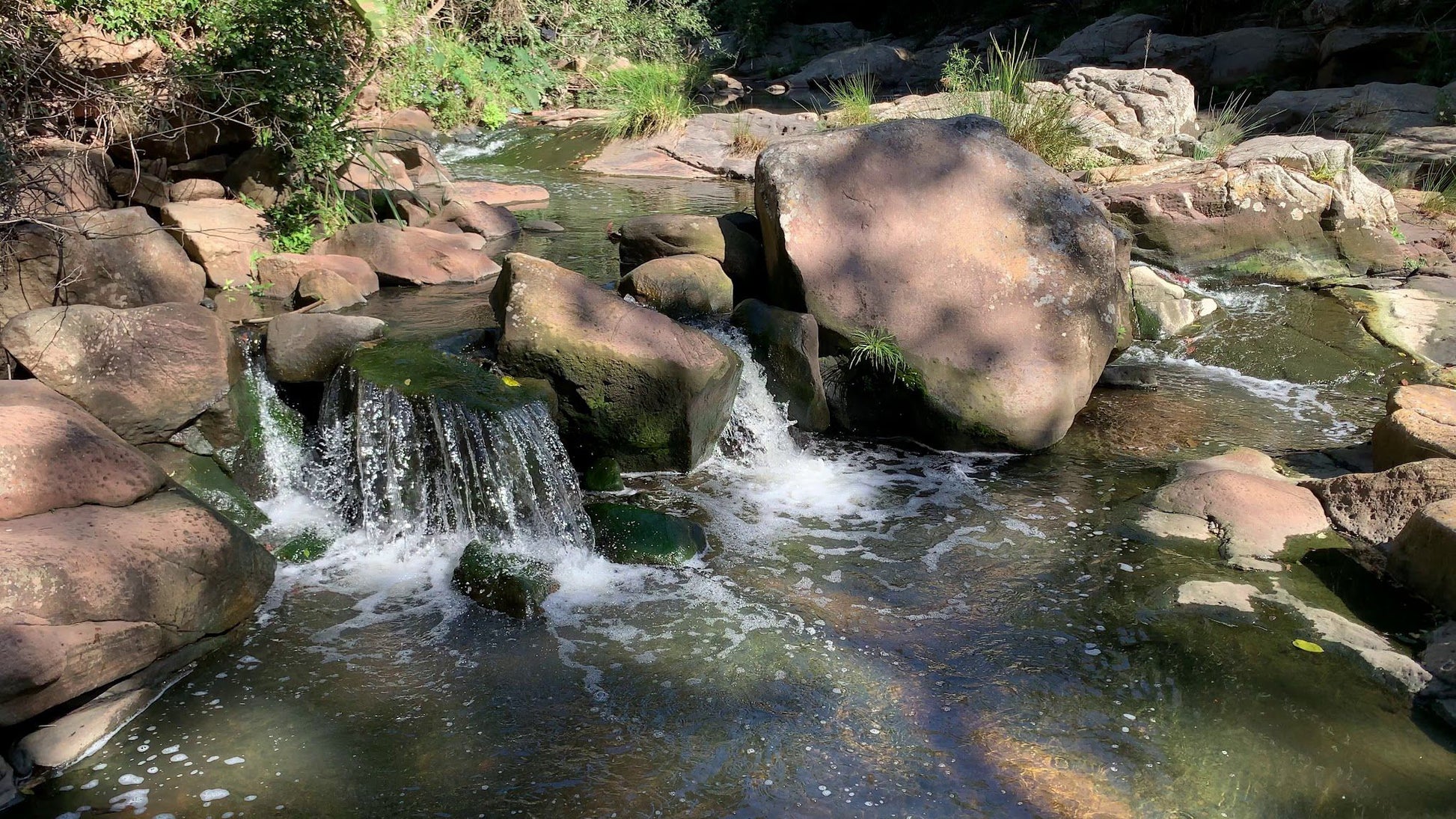  Palmiet Nature Reserve