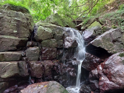  Palmiet Nature Reserve