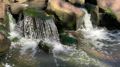  Palmiet Nature Reserve